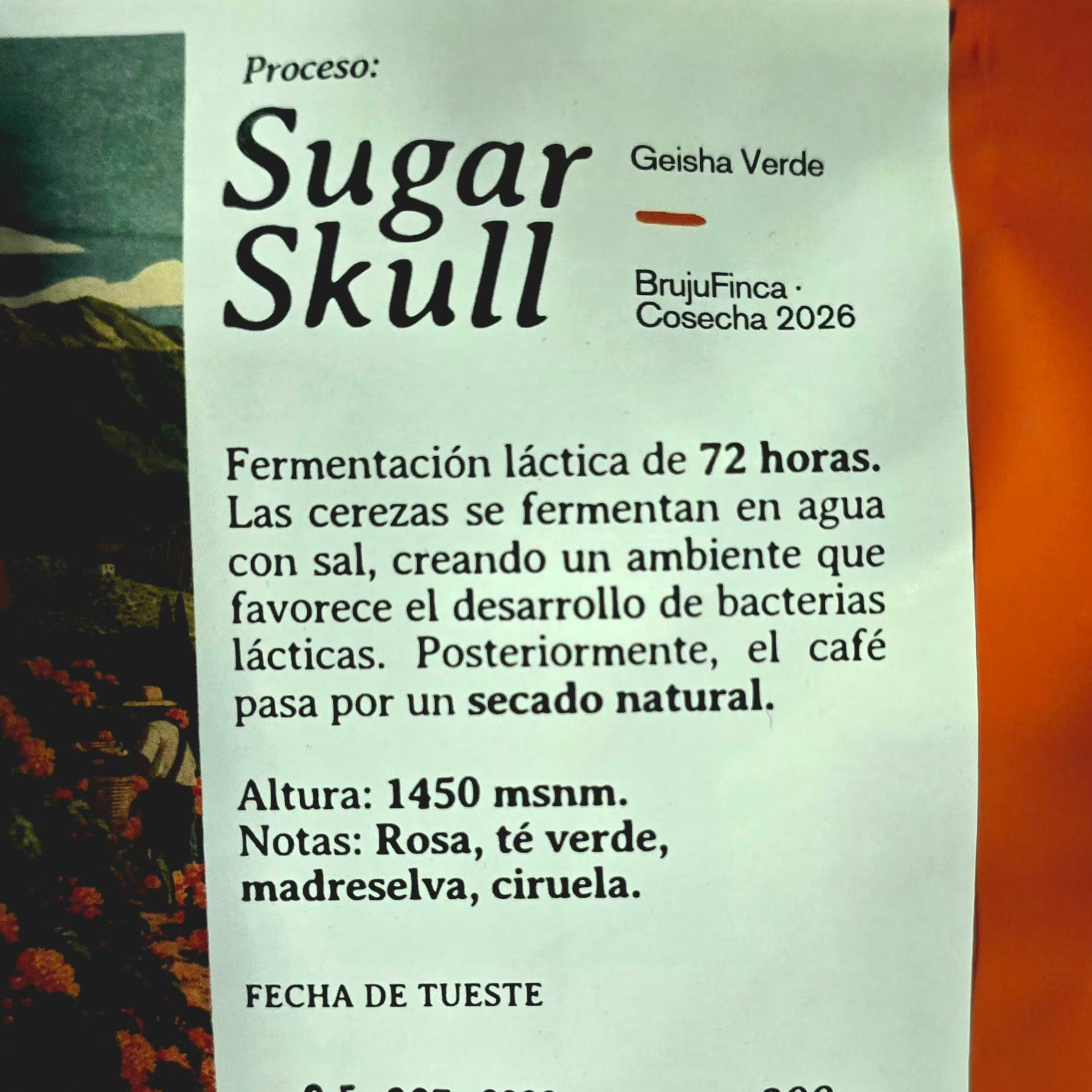 Oaxaca Natural (Sugar Skull)